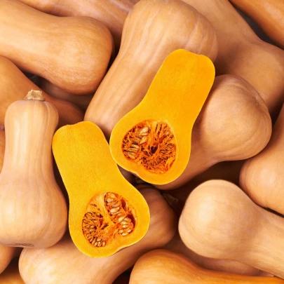 Tekvica maslová Butternut - Cucurbita moschata - semená - 6 ks