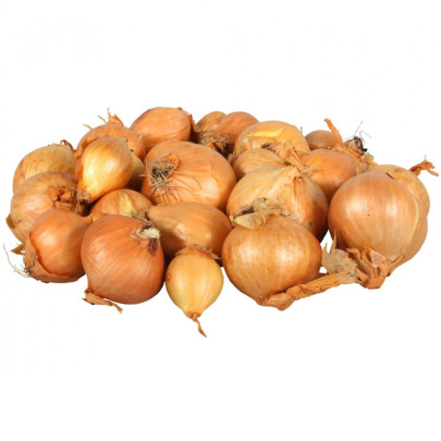 Cibuľa šalotka Golden Gourmet - Allium cepa - cibuľky - 500 g