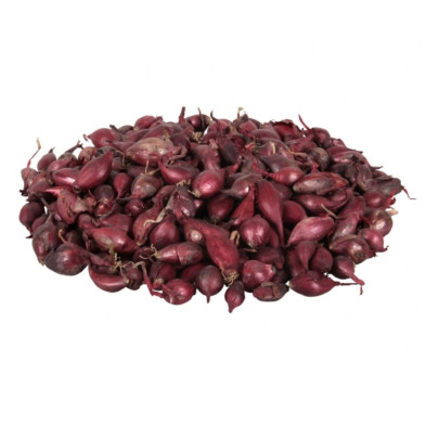 Cibuľa sadzačka Sturon - Allium cepa - cibuľky - 250 g