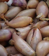 Cibuľa sadzačka Rosanna - Alliumm cepa - cibuľky - 250 g