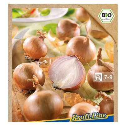 BIO cibuľa šalotka Red Sun - Allium cepa - bio cibuľky - 10 ks