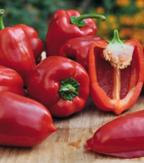 Paprika balkónová Almira Mini Red F1 - Capsicum annuum - semená - 5 ks