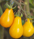 Paradajka Žltá hruška - Solanum lycopersicum - semená - 6 ks