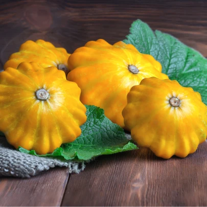 Patizón Golden Marbre - Cucurbita pepo - semená - 5 ks