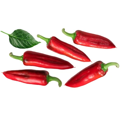 Paprika Hodonínska sladká - Capsicum Annum - semená - 90 ks