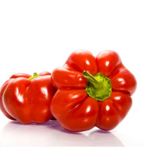 Rajčinová paprika Szuszanna - Capsicum annuum - semená - 7 ks