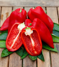 Paprika Snackling Red - Capsicum annuum - semená - 5 ks