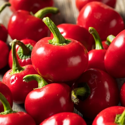 Chilli Cherry Bomb - Capsicum annuum - semená - 6 ks