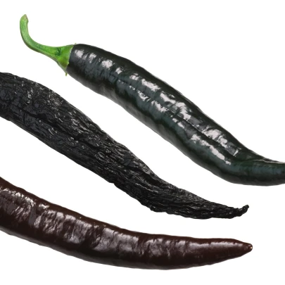 Chilli Pasilla Bajio - Capsicum annuum - semená - 7 ks