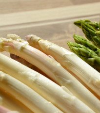 Špargľa lekárska Thielim - Asparagus officinalis - voľnokorenné sadenice špargle - 1 ks