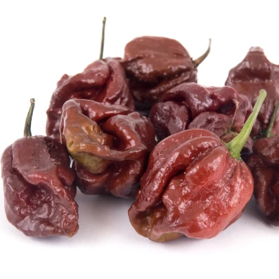 Chilli Trinidad Scorpion Moruga Caramel - Capsicum chinense - semená - 5 ks