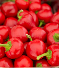 Paprika rajčinová Ontara - Capsicum annuum - semená papriky - 40 ks