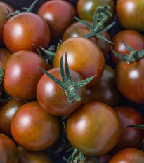 BIO Paradajka čierna Cherry - Solanum lycopersicum - bio semená - 6 ks