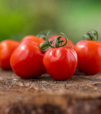 Paradajka Jahodo - Solanum lycopersicum - semená - 25 ks