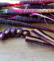 BIO Mrkva fialová Gniff - Daucus carota - bio semená - 400 ks