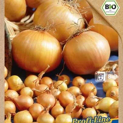 BIO Cibuľa sadzačka Contado F1 - Allium cepa - bio cibuľky - 50 ks