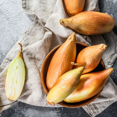 Cibuľa šalotka Longor - Allium cepa - cibuľky - 10 ks