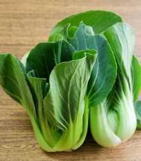 Pak Choi Shanghai - Brassica rapa chinensis - semená - 200 ks