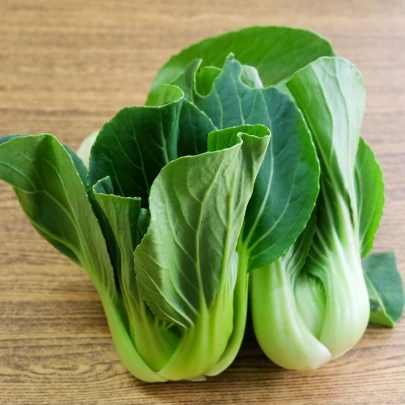 Pak Choi Shanghai - Brassica rapa chinensis - semená - 200 ks