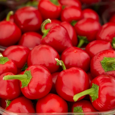 BIO Paprika Babybell červená - Capsicum annuum - bio semená - 10 ks