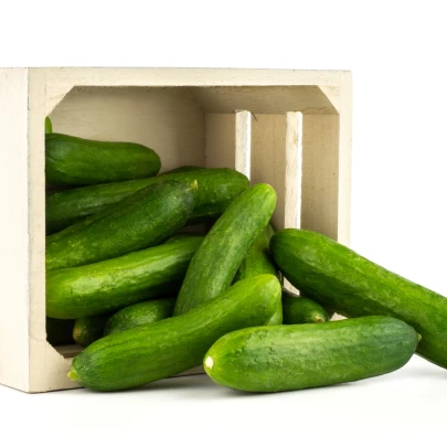 BIO Uhorka Picolino F1 - Cucumis sativus - bio semená - 4 ks