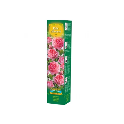 Ruža záhonová tmavoružová - voľnokorenné sadenice ruže - 1 ks