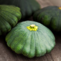 Patizón Green Saucer F1 - Cucurbita pepo - semená - 5 ks