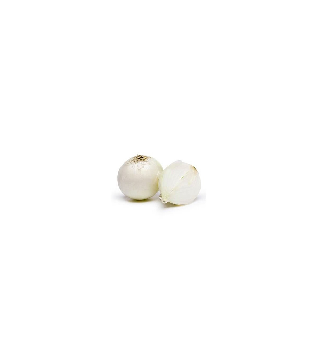 Cibuľa jarná biela - semená - 250 ks