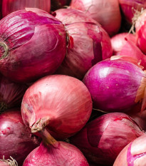 Cibuľa sadzačka zimná Rote Winter - Allium cepa - cibuľky - 50 ks