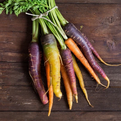 Mrkva letná Rainbow F1 - Daucus carota - semená - 50 ks