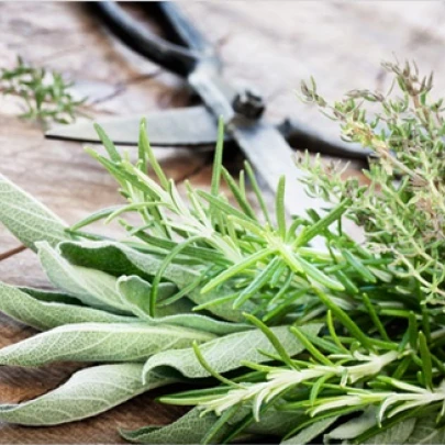 Zmes semienok korenia pre vašu kuchyňu - osivo aromatických rastlín - 0,5 g