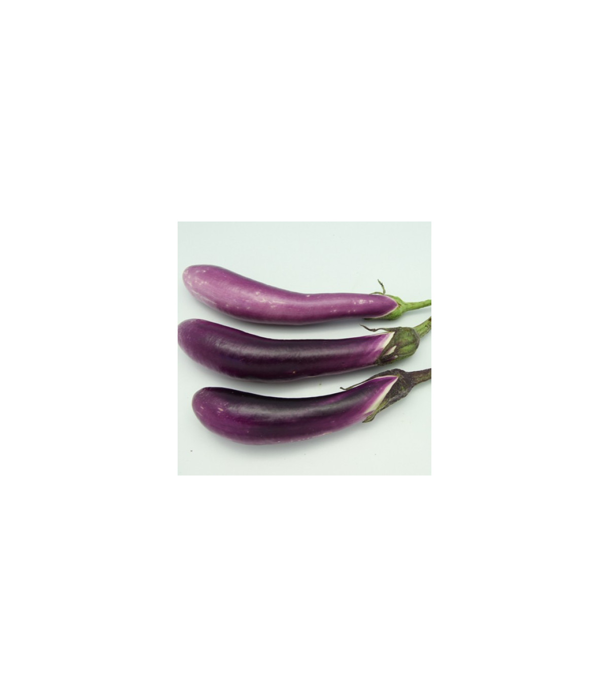 Baklažán Pingtung - Solanum melongena - semená - 6 ks