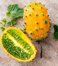 Africký melón Kiwano - Cucumis metuliferus - semená - 8 ks