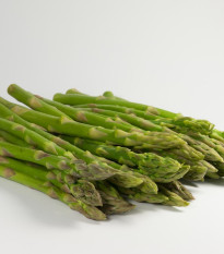 Špargľa lekárska Mary Washington - Asparagus officinalis - semená - 20 ks