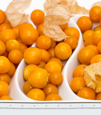 Machovka peruánska - Physalis peruviana - semená - 10 ks