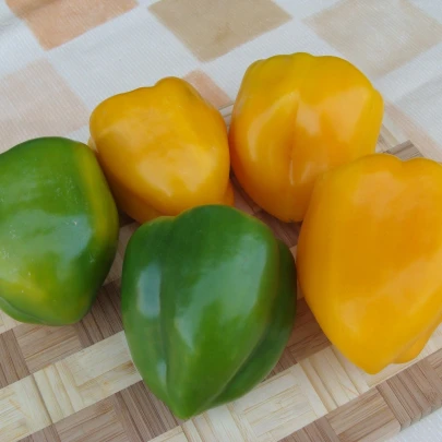 Paprika Afrodita - Capsicum annuum - semená - 20 ks