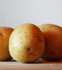 Sadbové zemiaky Sunshine - Solanum tuberosum - zemiaky - 5 kg