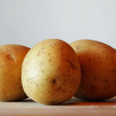 Sadbové zemiaky Sunshine - Solanum tuberosum - zemiaky - 5 kg