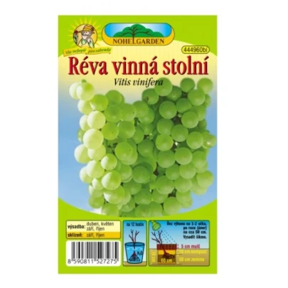 Vinič hroznorodý - Vitis vinifera - voľnokorenné sadenice - 1 ks