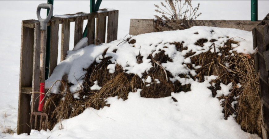 Ako udržať kompost aktívny aj v chladných mesiacoch