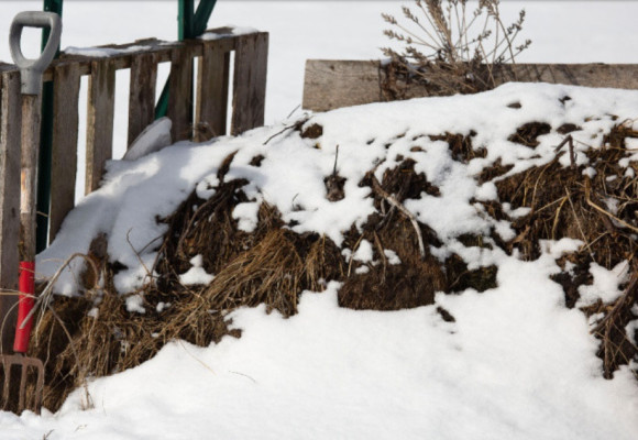 Ako udržať kompost aktívny aj v chladných mesiacoch